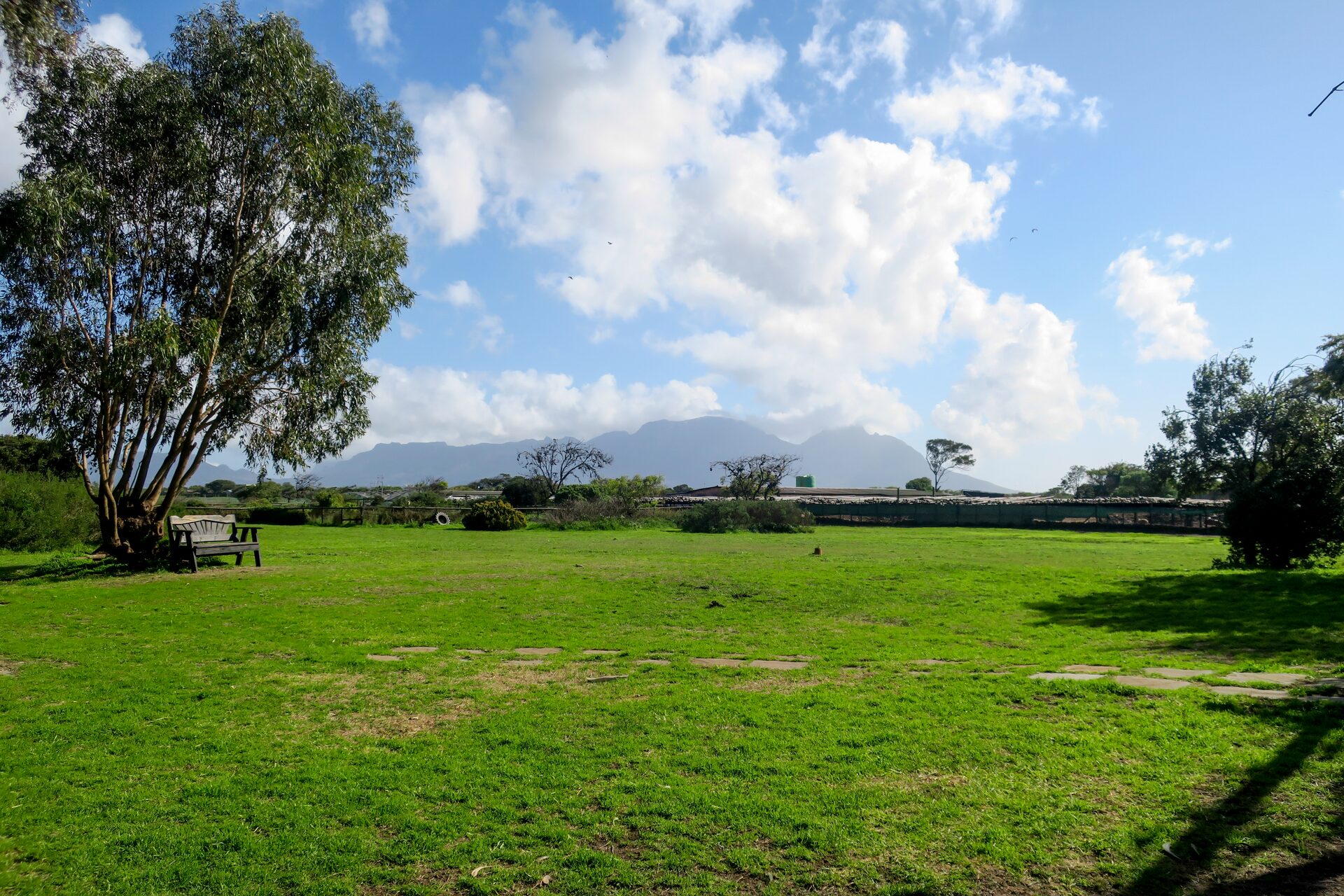 Open lawn and outdoor grounds at King’s Kraal